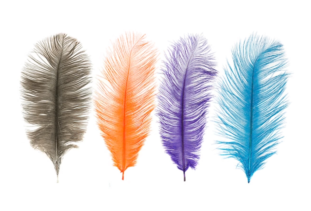 Montana Fly Company (MFC) Ostrich Plumes